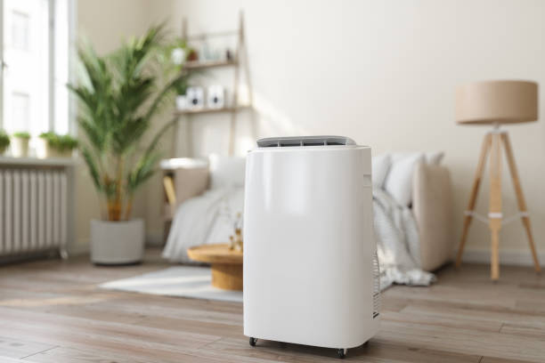 Best Energy-efficient HVAC Solutions in Lindsay, TX